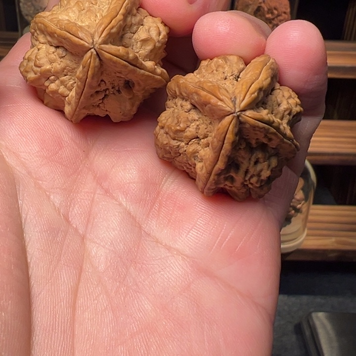 文玩核桃把件金蟾塔四棱33mm