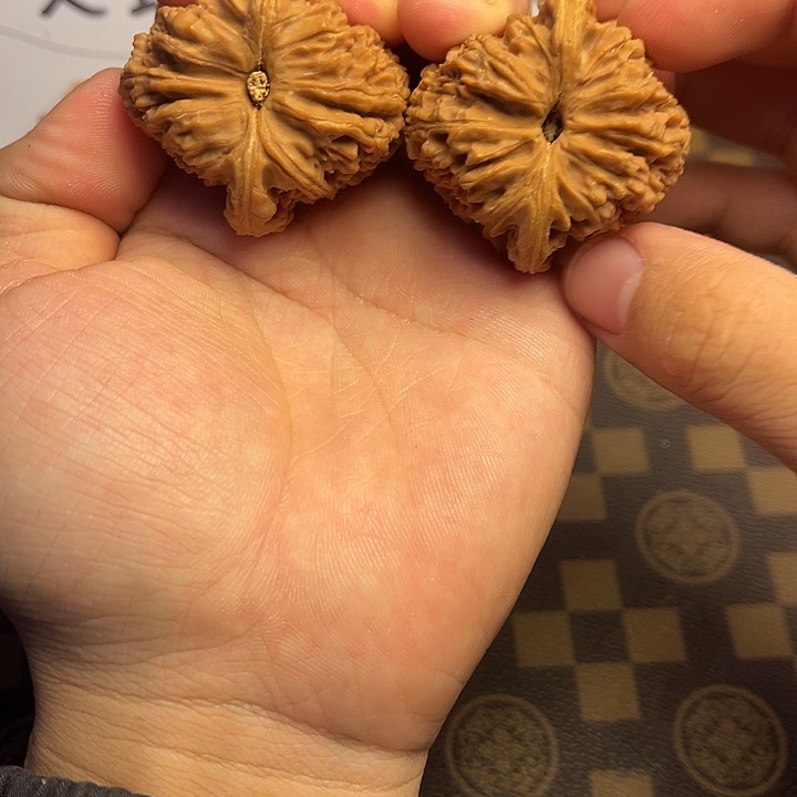 大叶紫檀（黑酸枝木类）