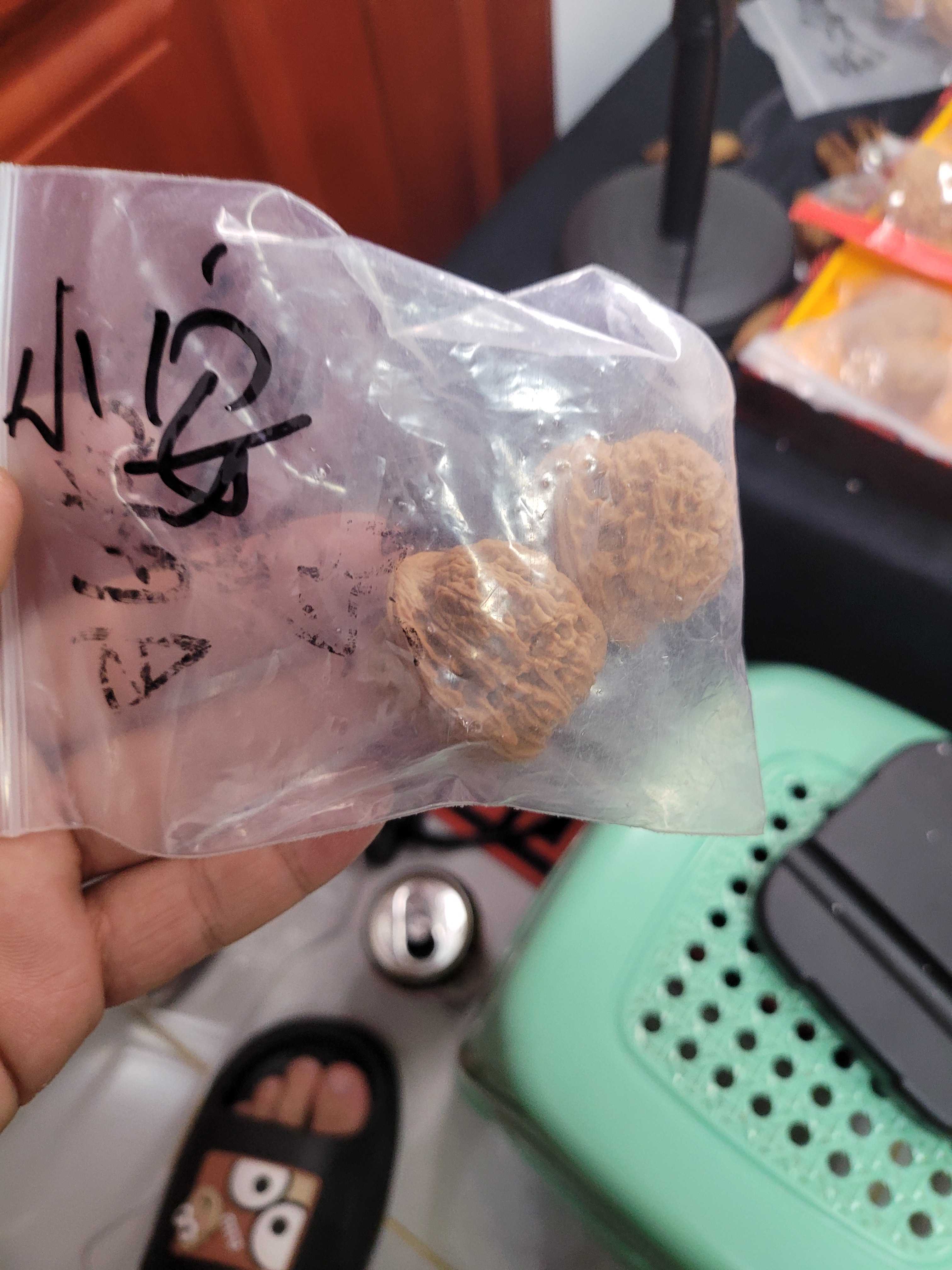 全品三角白无修全品