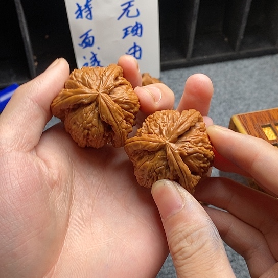 骑*3白狮11111111111111