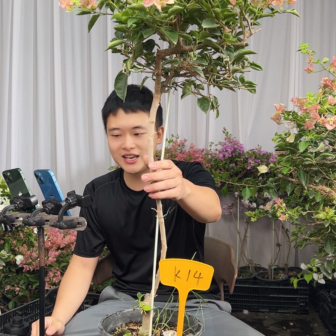 劫***生当前无花栽培后可以开花K14米罗