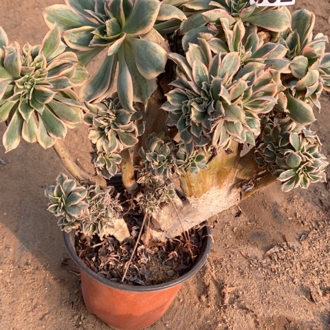 092满十八包邮偏远勿拍