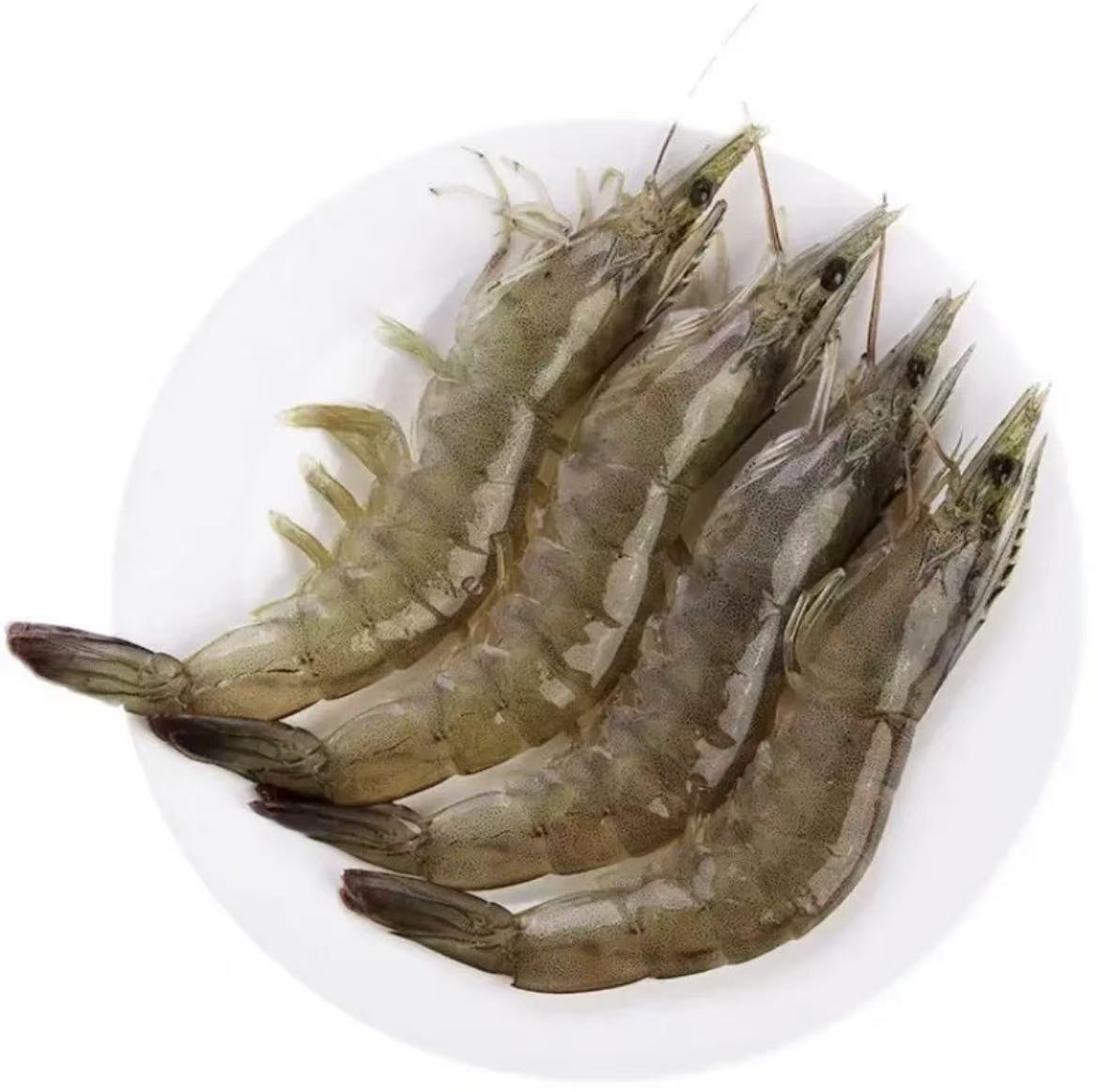 海洋大虾 新鲜活虾 锁冻到手4斤 12-15只/斤 顺丰冷链发货带箱4斤