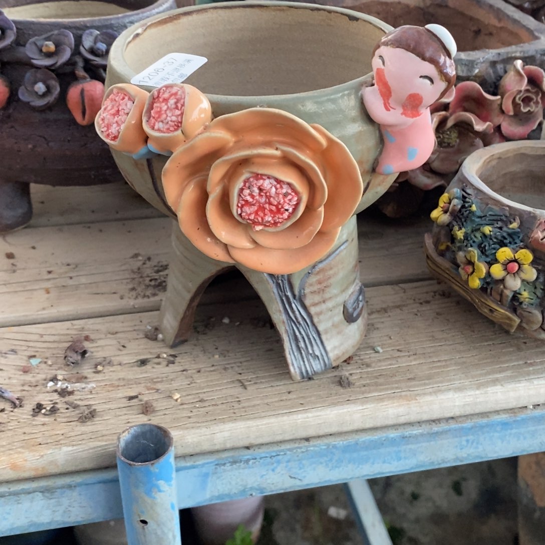 *****37号多肉盆口径12