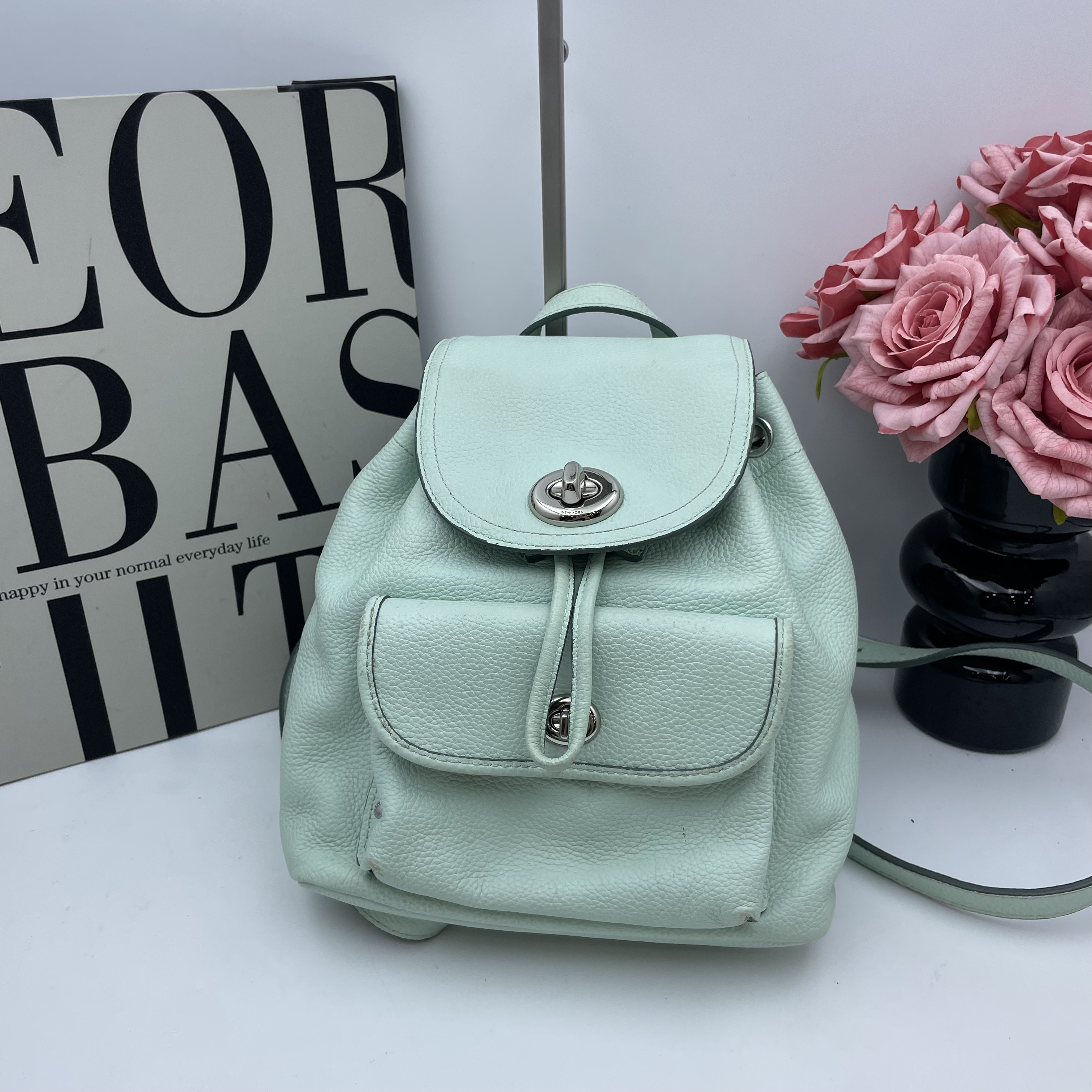 95新 COACH/蔻驰 17886 双肩包