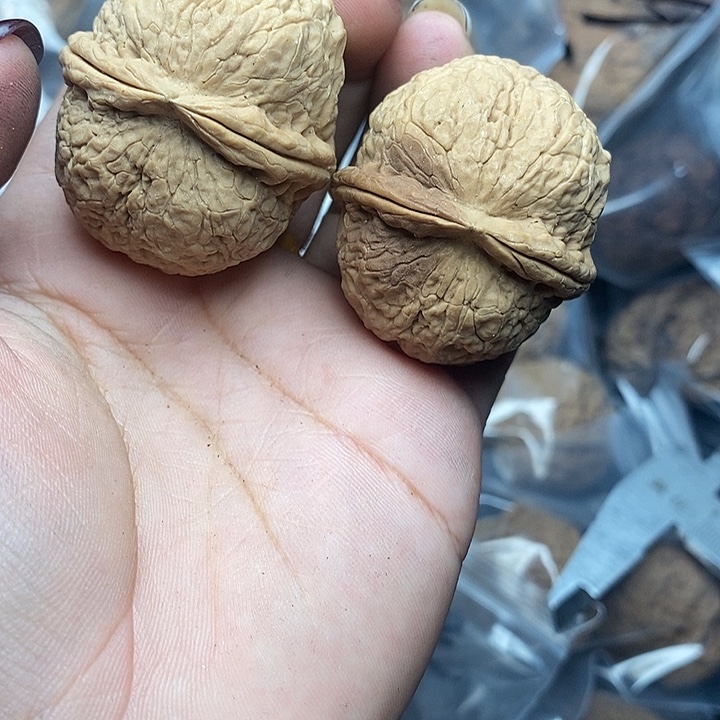 把件文玩核桃 96号41mm