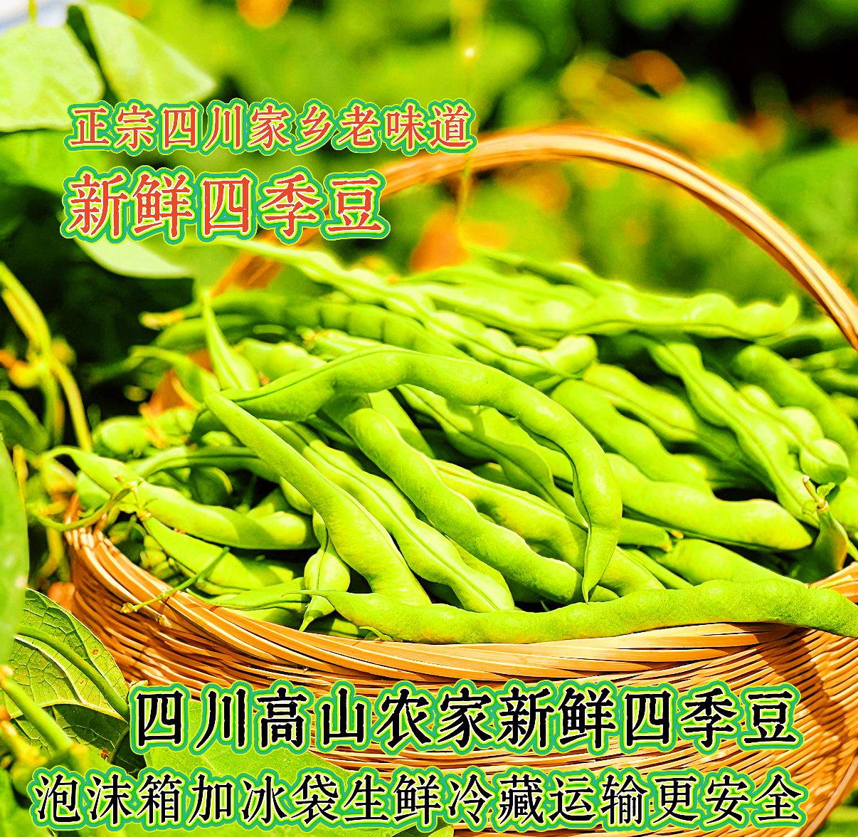 四川农家高山新鲜豆角四季豆大青豆现摘现发时令蔬菜