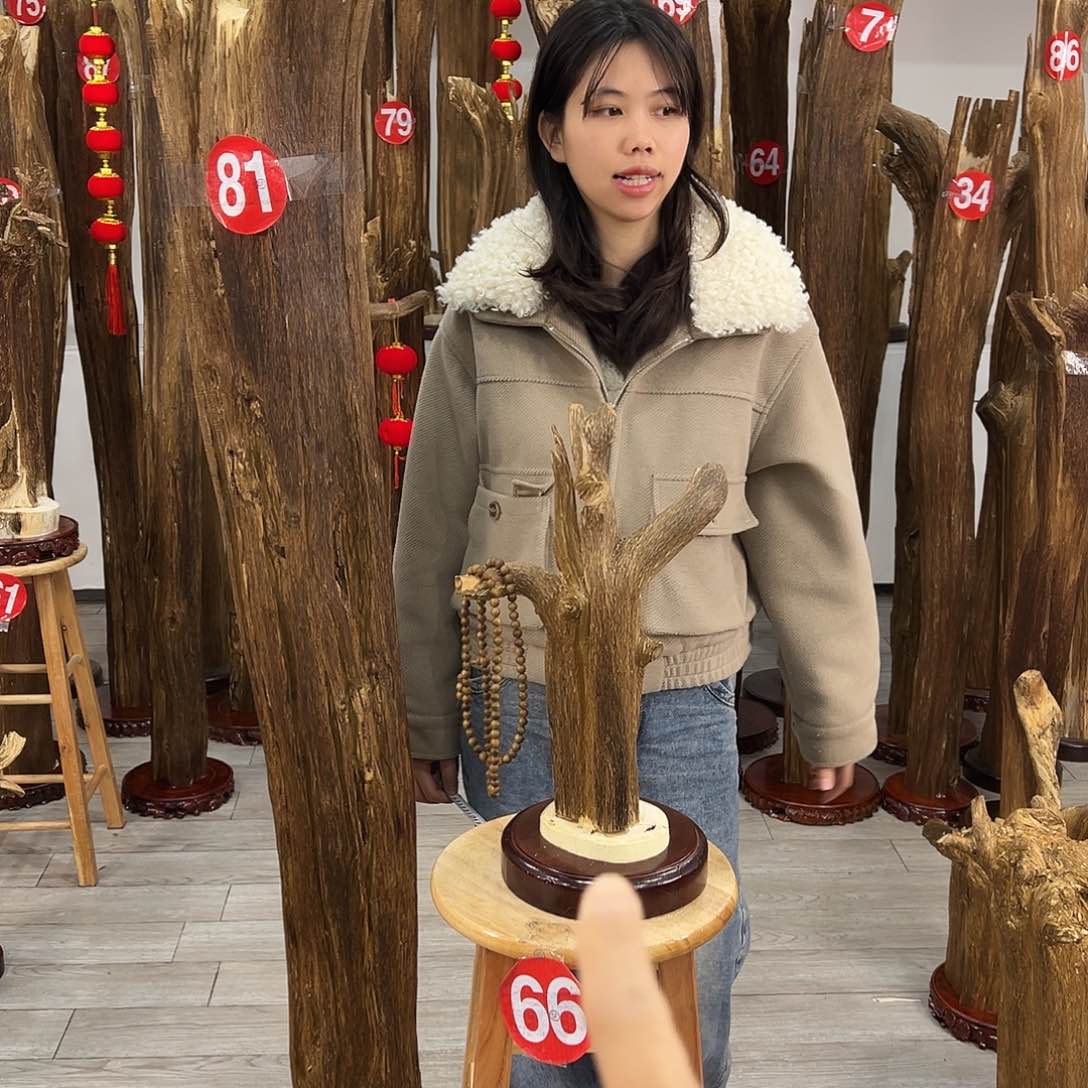 中式天然香薰香粉香道