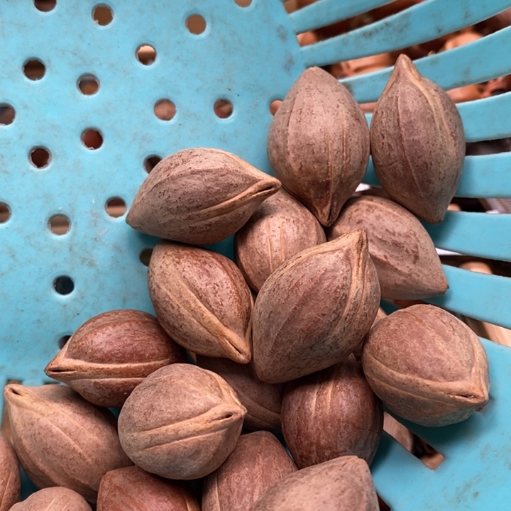 吊坠橄榄核清**来半斤