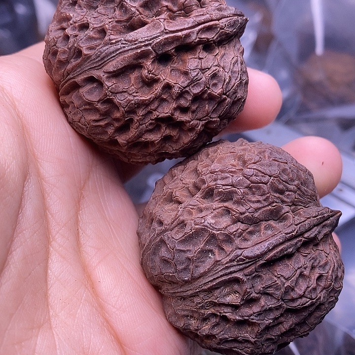 把件文玩核桃   12