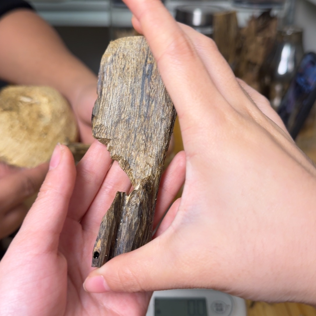 沉香白奇虫漏香21克