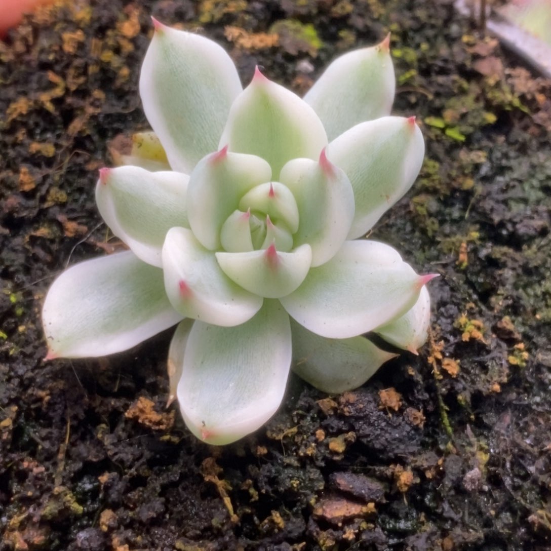 210锦锦锦锦锦锦锦锦锦
