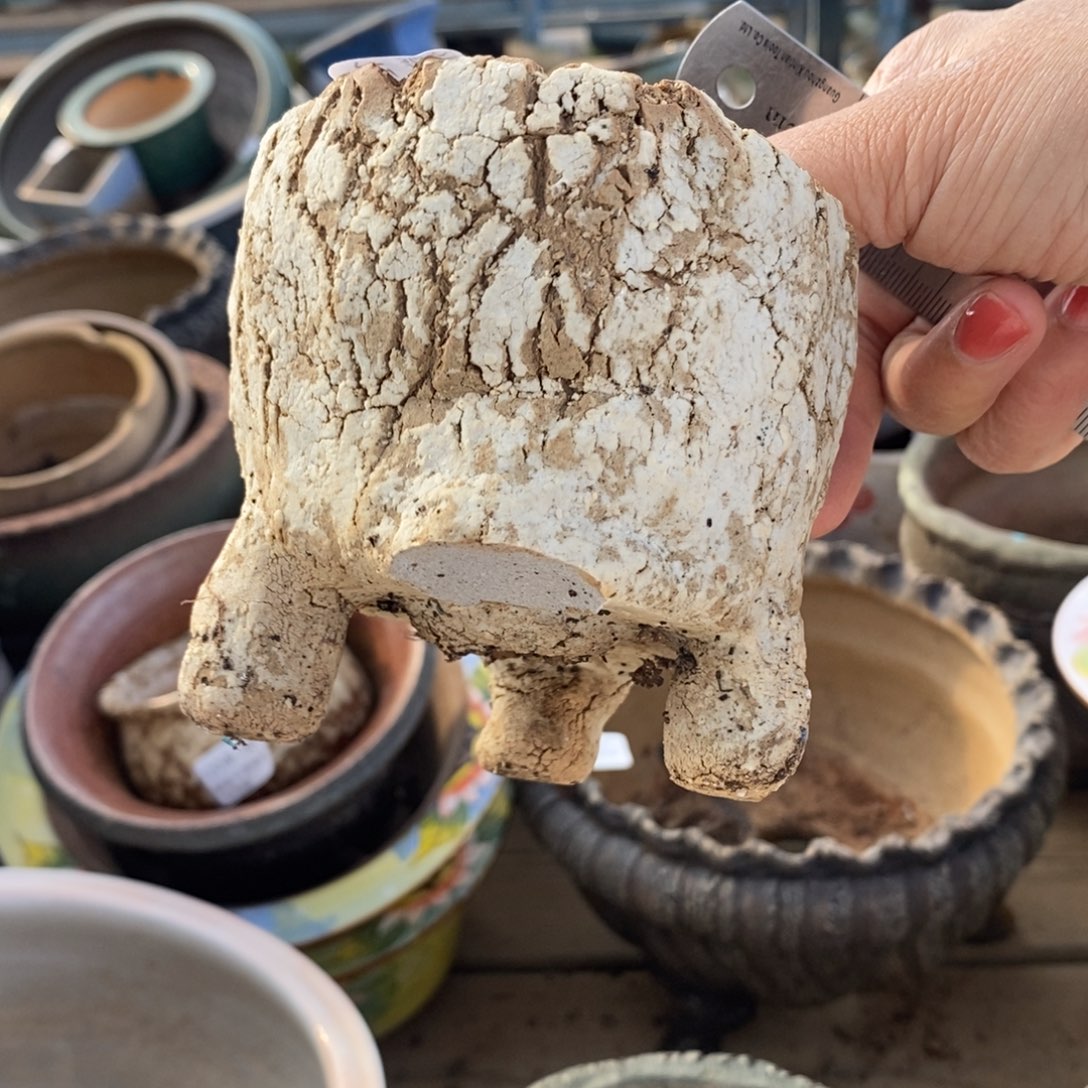 40号多肉盆口径7.5瑕疵瑕疵