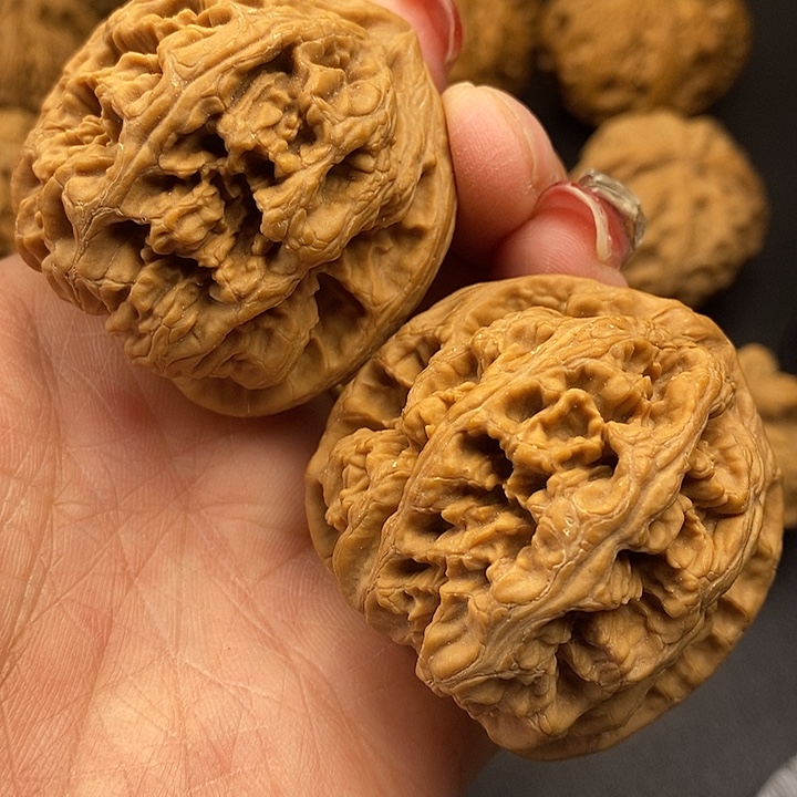 大叶紫檀（黑酸枝木类）粗筋46