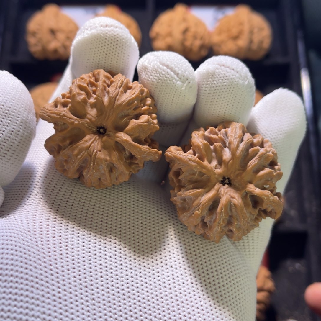 秦皇岛山地果全品苹果40–11号