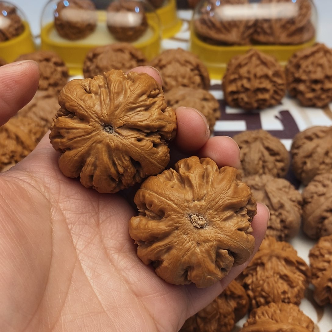 文玩核桃吊坠魏*胜霸王龙45尺