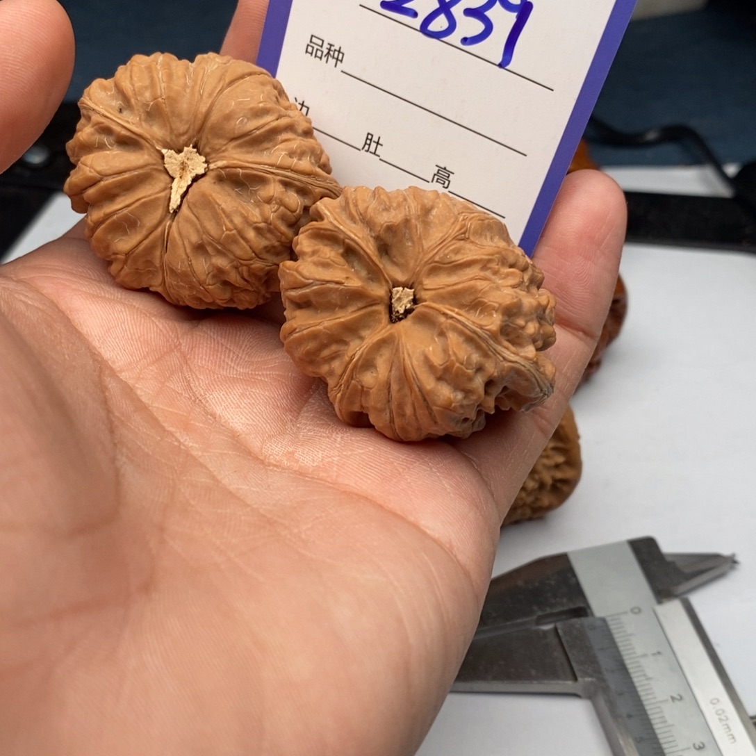 把件文玩核桃2839