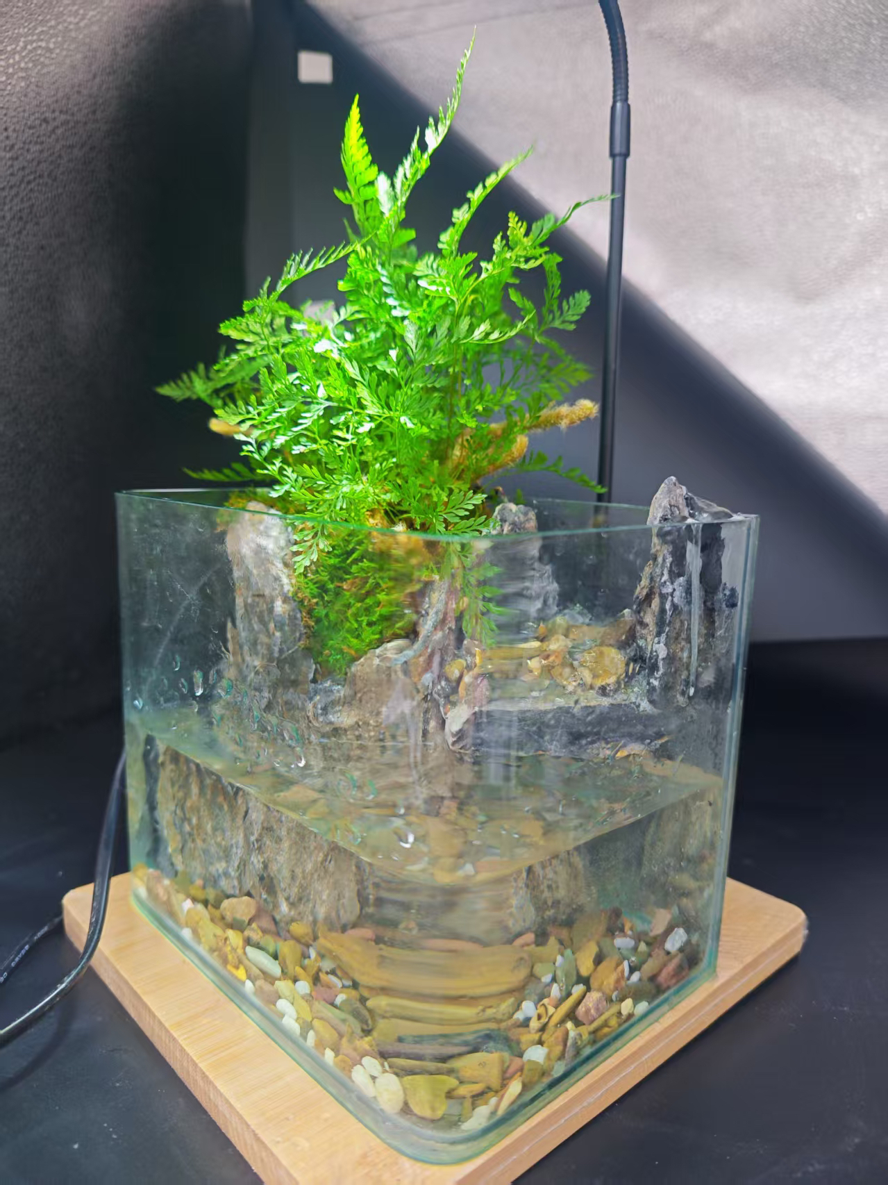 山水景观生态桌面室内造景苔藓水陆成品全套水循环流水客厅鱼缸