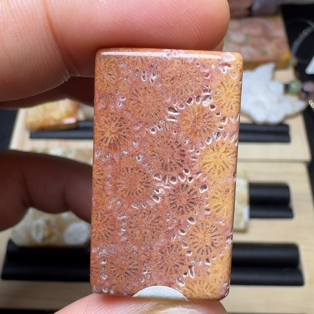 未镶嵌纯天然色有机玉石保真色硅化玉