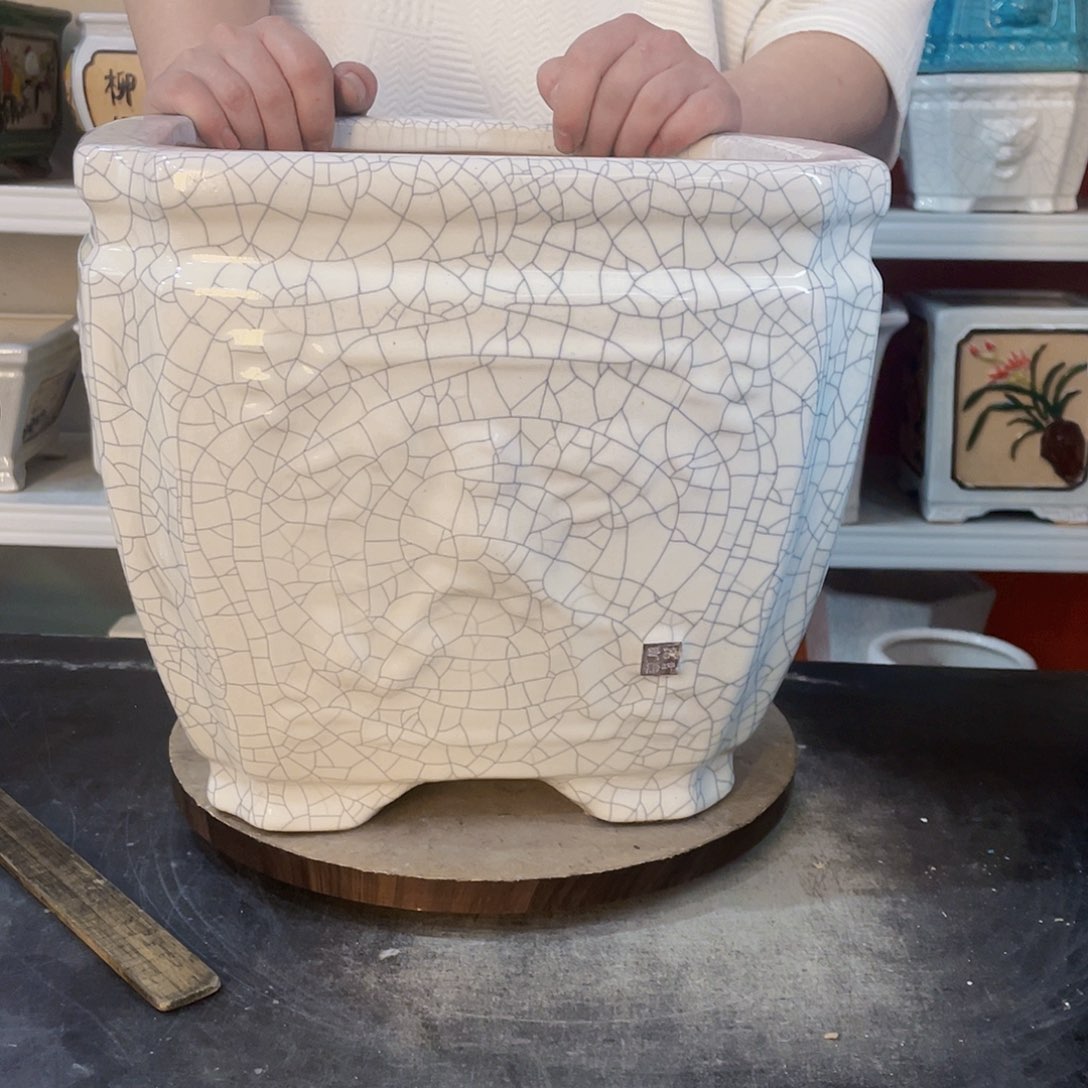 司****鱼2222222222222