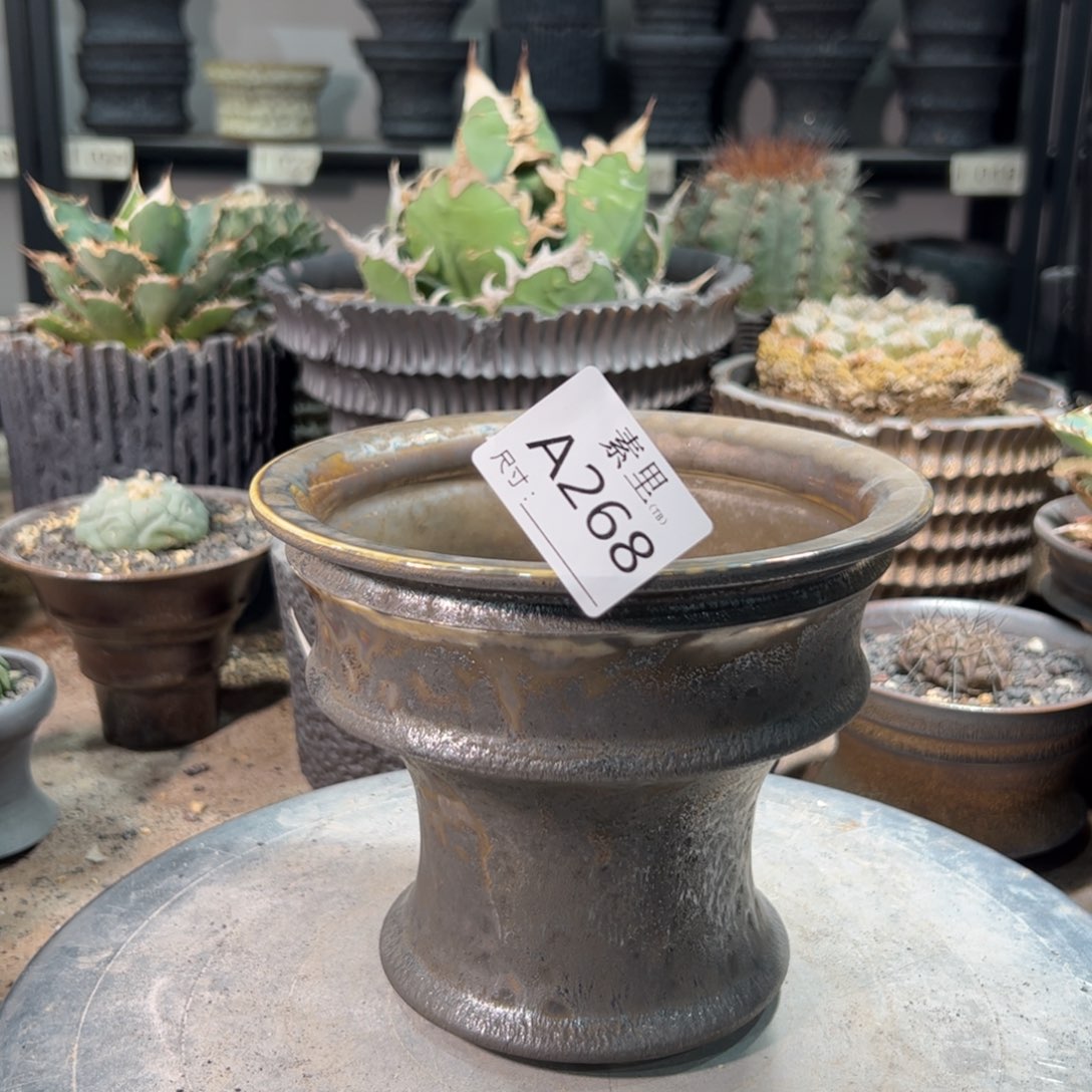 景德镇手工素里内口15.6高13