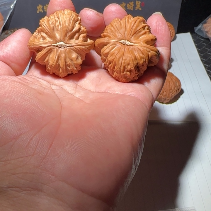 把件文玩核桃白狮子