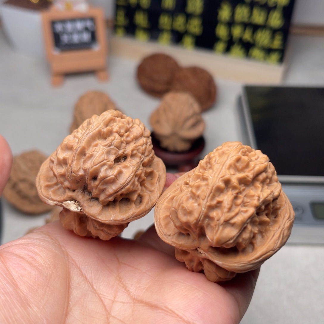 文玩核桃把件龟甲大蟾王