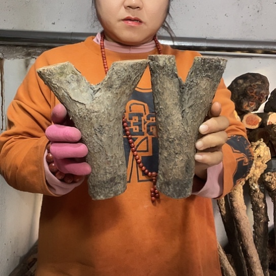 火流璃弓叉几嗯嗯