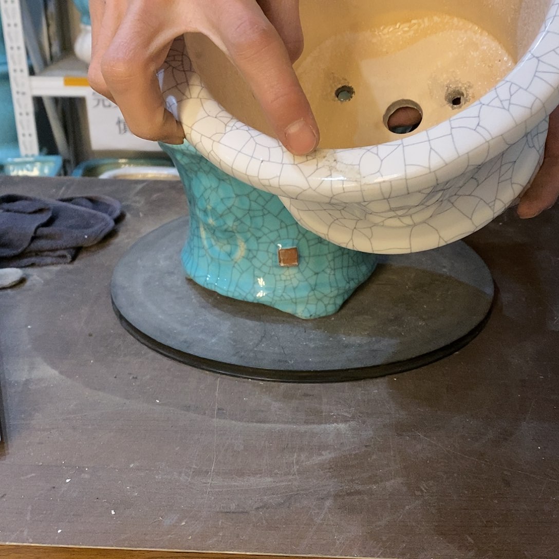 花盆花盆里放满鲜花