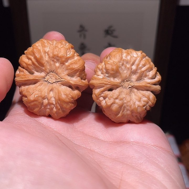 马***露手串/手链核桃蛤蟆头  