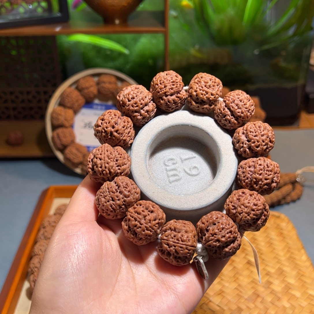 吊坠金刚菩提梁满龙龙牙梅花24mm