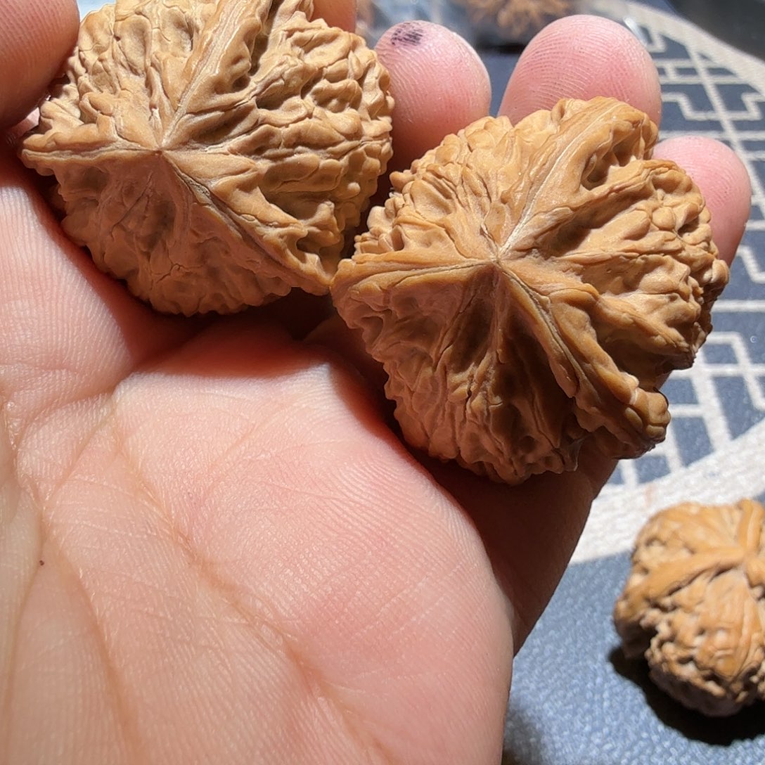 文玩核桃把件御龙正奔