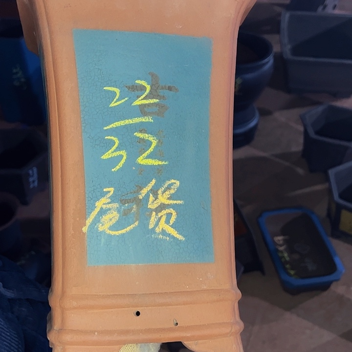 紫砂艺术学院美术