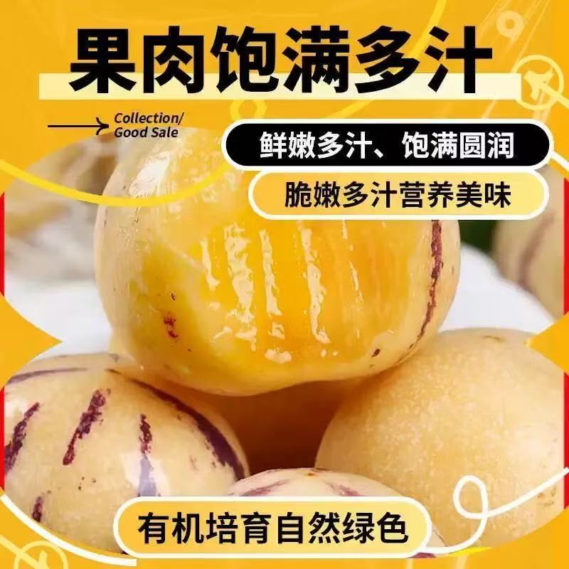 精品特大果，云南石林人参果，新鲜2斤现摘树上熟黄肉圆果