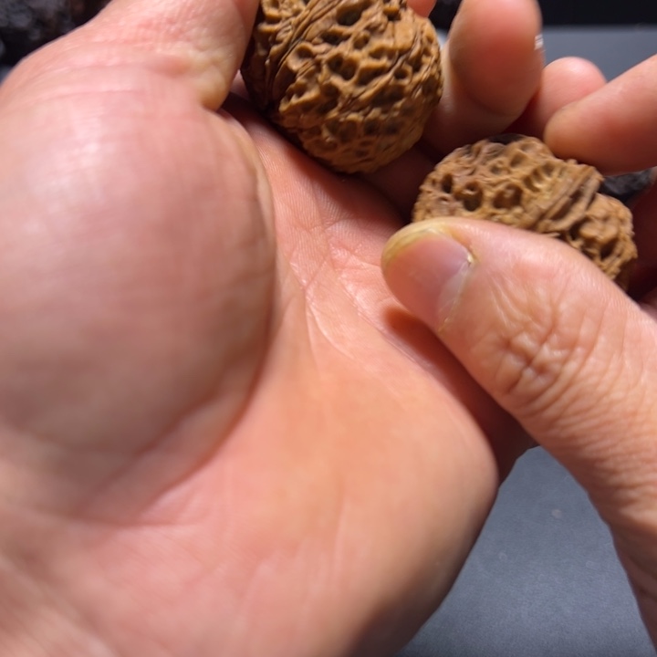 把件文玩核桃B百花绣球40mm