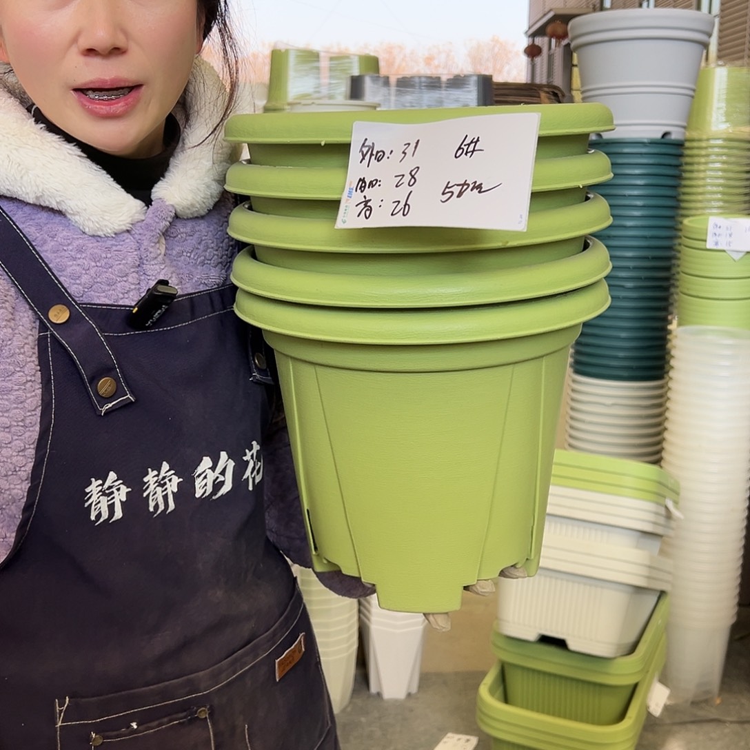 青山盆6#果绿5个无托