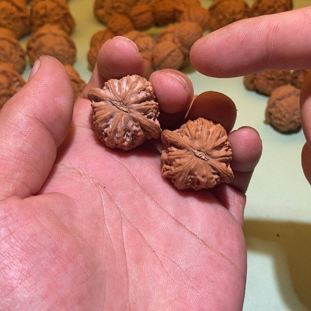 文玩核桃把件@*野磨33