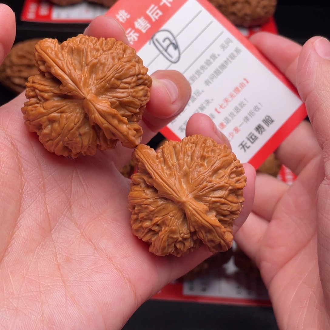 文玩核桃把件白狮子44