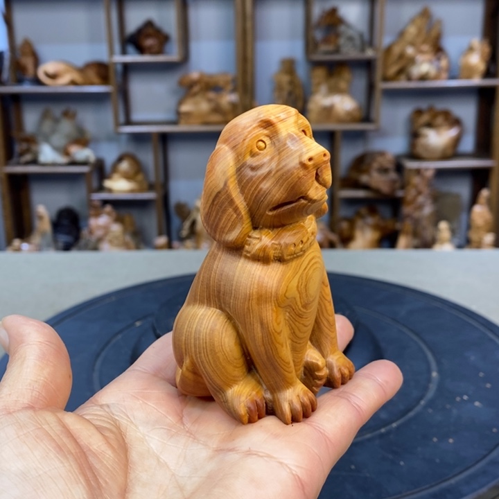 柏木（崖柏）崖柏1