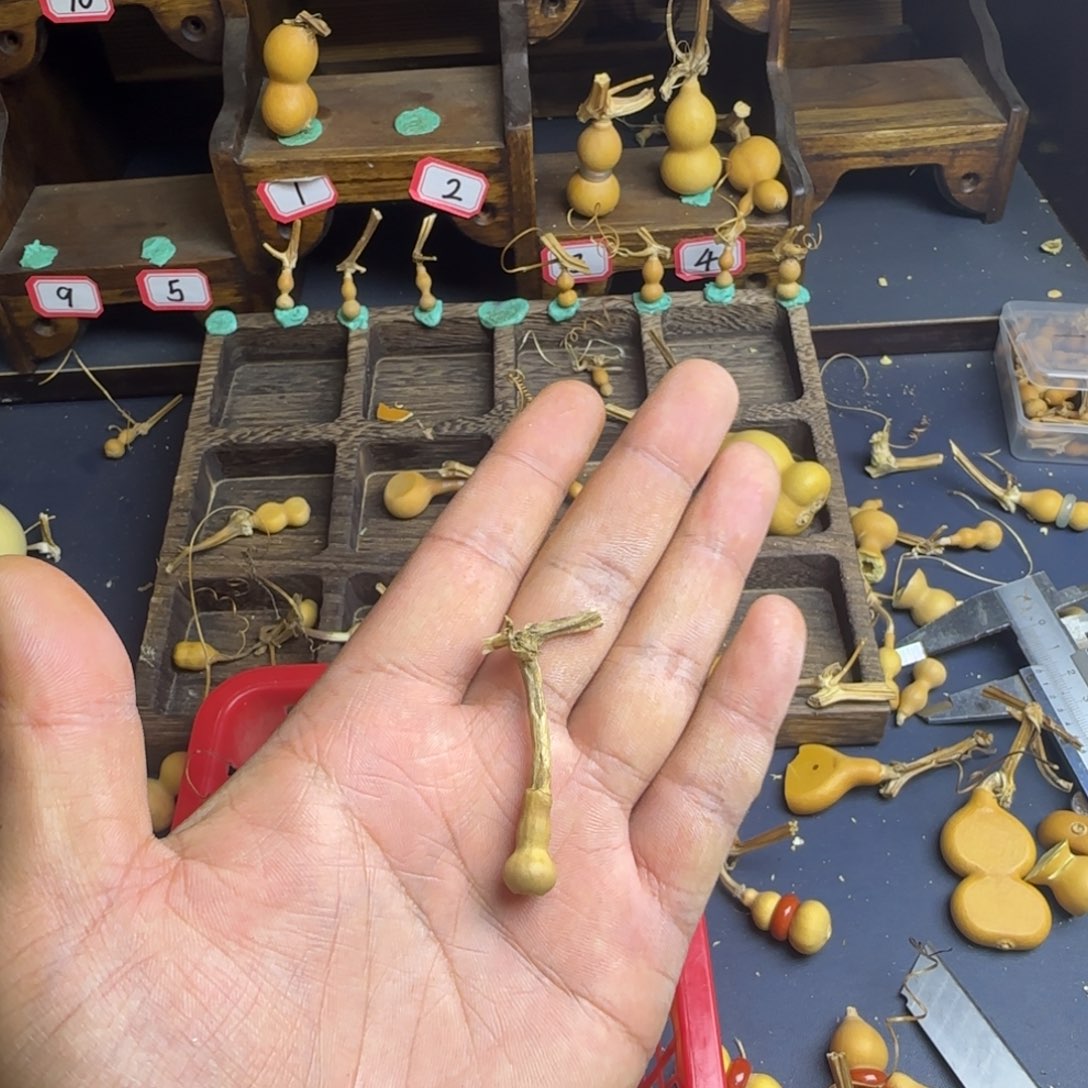 阿***莫我也是很喜欢这个节目的呢