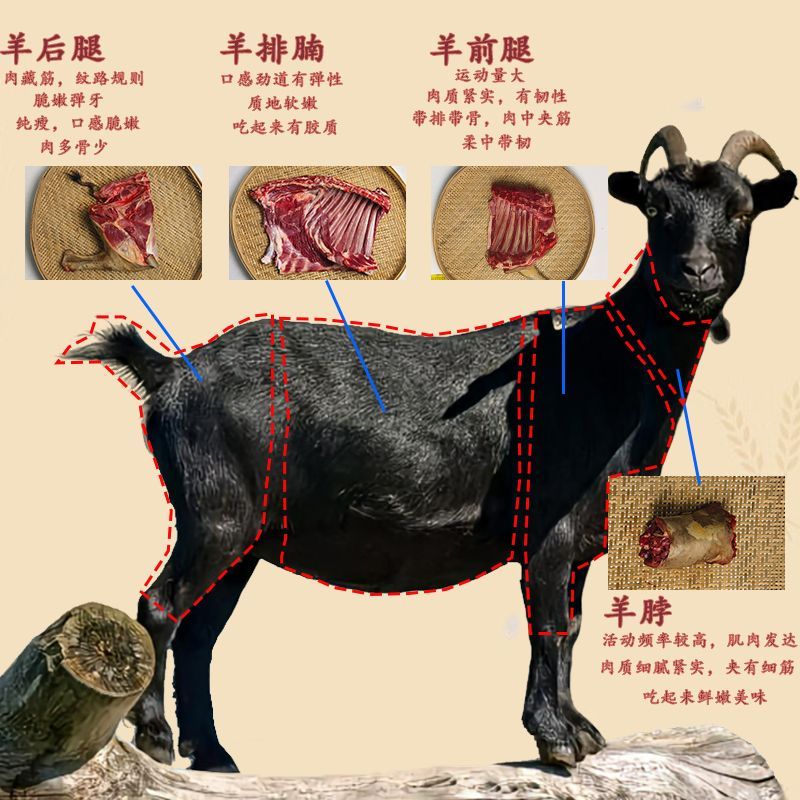 羊前排 广西正宗黑山羊 羊前排 （前腿带排）