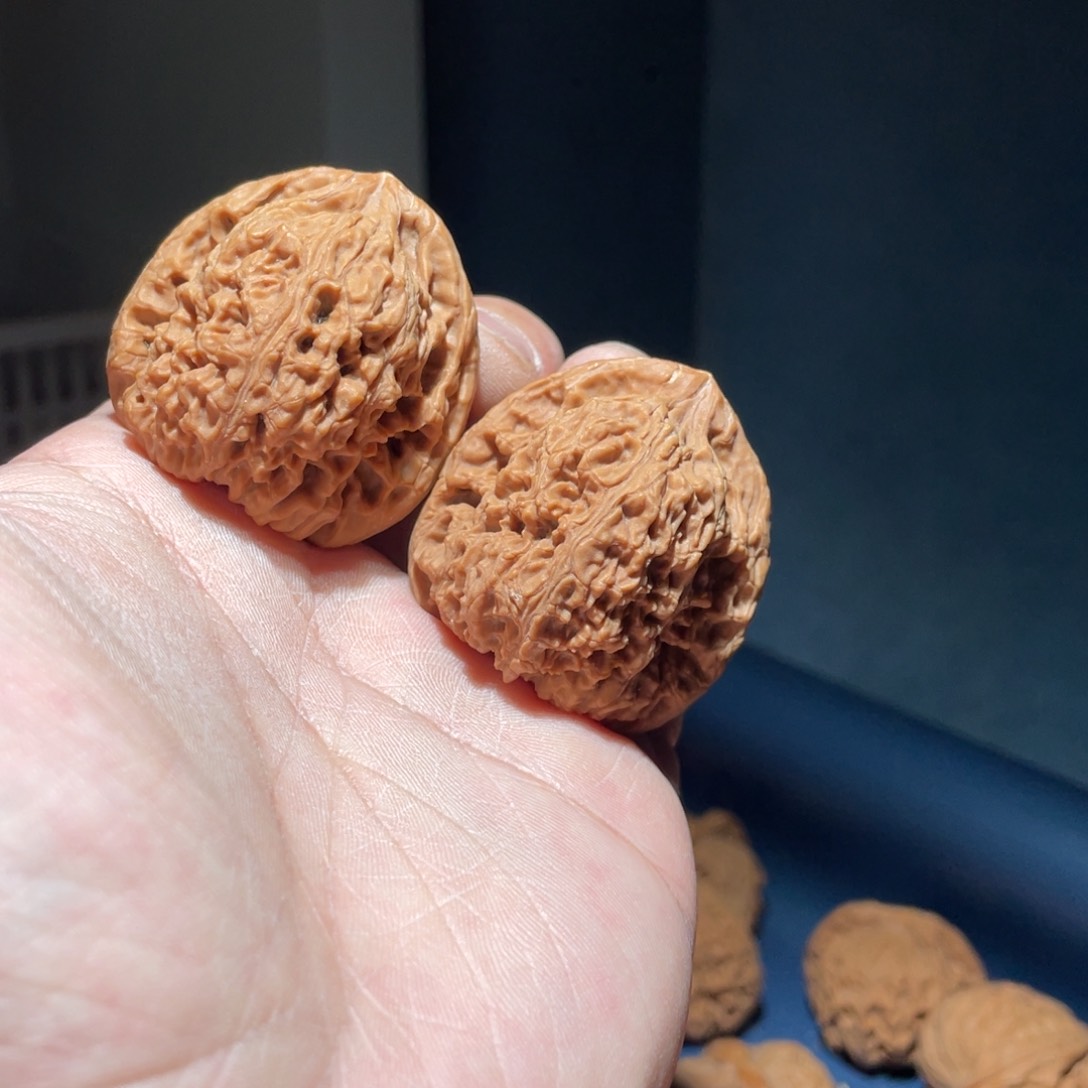 核桃手串/手链E****41南疆石