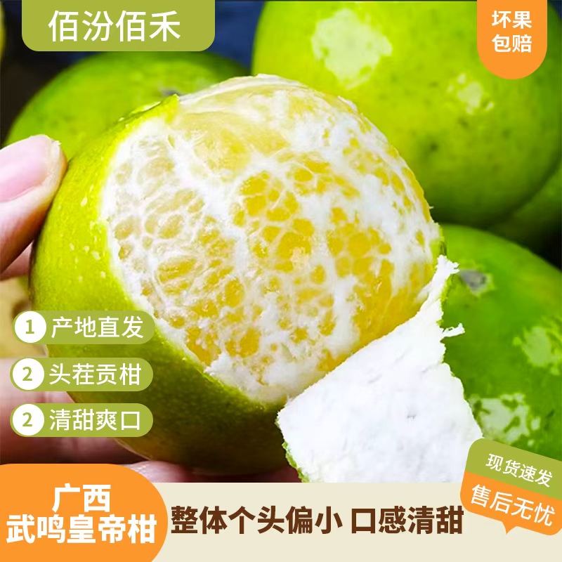 佰汾佰禾 广西武鸣皇帝柑4.5斤 当季新鲜柑橘 皮薄清甜多汁  SY