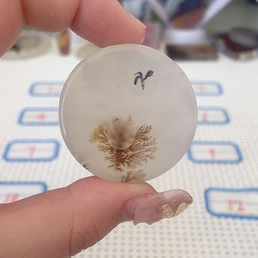 【闪购商品】玛瑙/玉髓颈饰合金