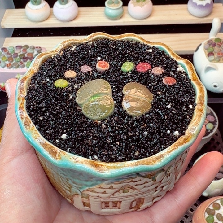 7029零下地区记得拍保温箱