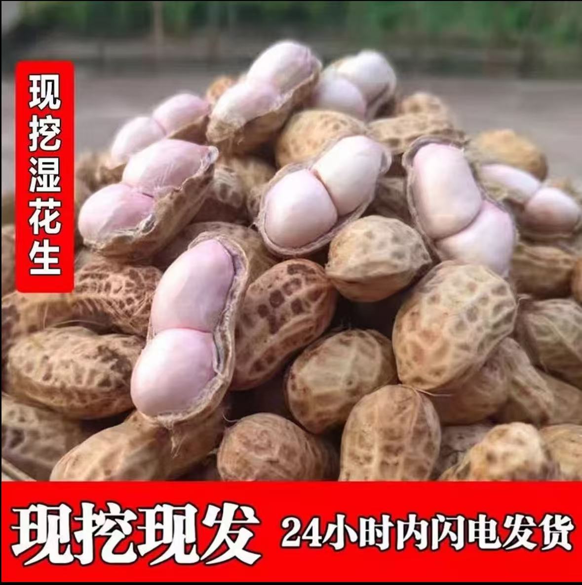 【农村】现挖现发鲜花生带壳花生粉皮花生湿花生带箱aa