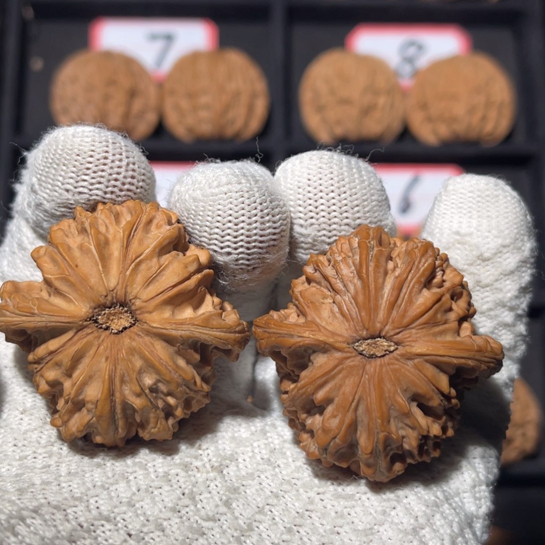 攀***峰文玩核桃吊坠05秦皇岛山地果全品