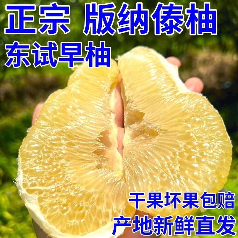 云南正宗西双版纳傣柚青柚东试早柚青皮白心蜜柚薄皮柚子孕妇水果