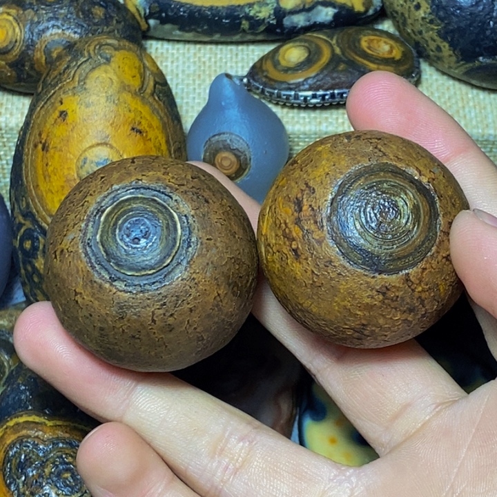 天***涯大叶紫檀（黑酸枝木类）