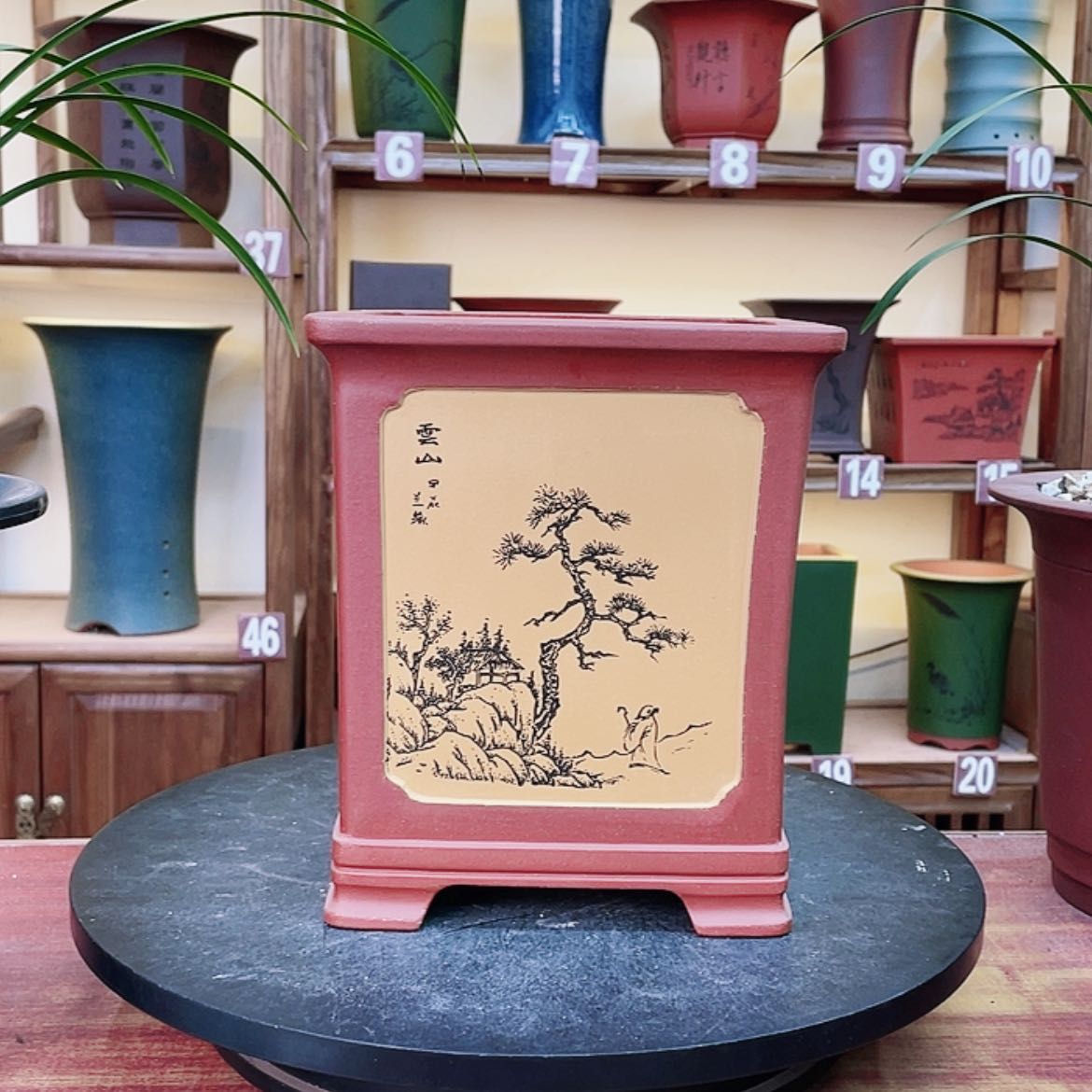 【闪购商品】紫砂花盆兰花5568456985266556